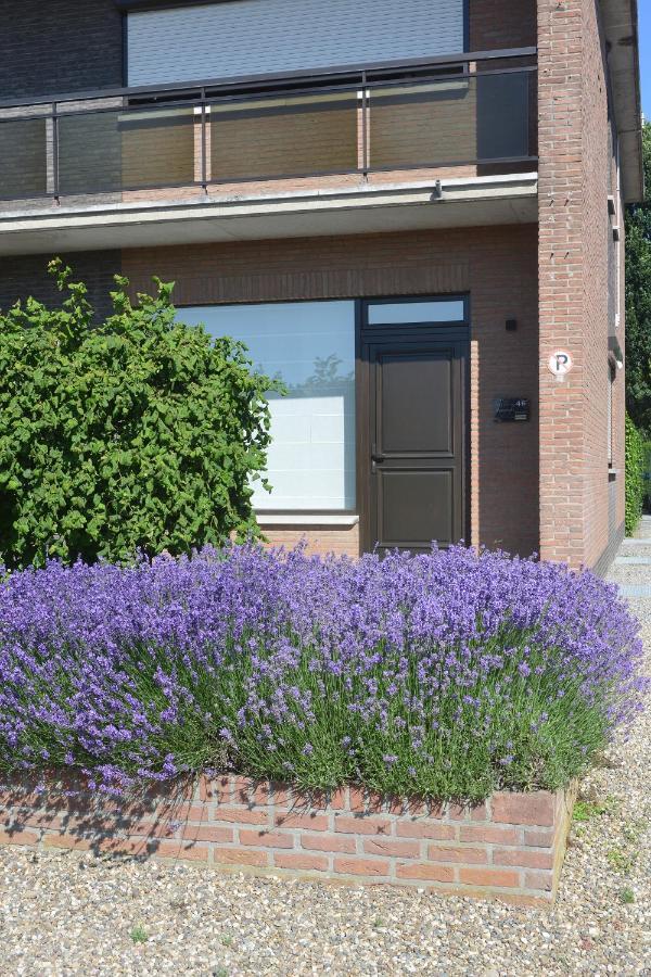 Oetervallei Maaseik Exterior foto