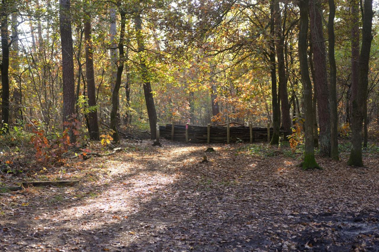Oetervallei Maaseik Exterior foto